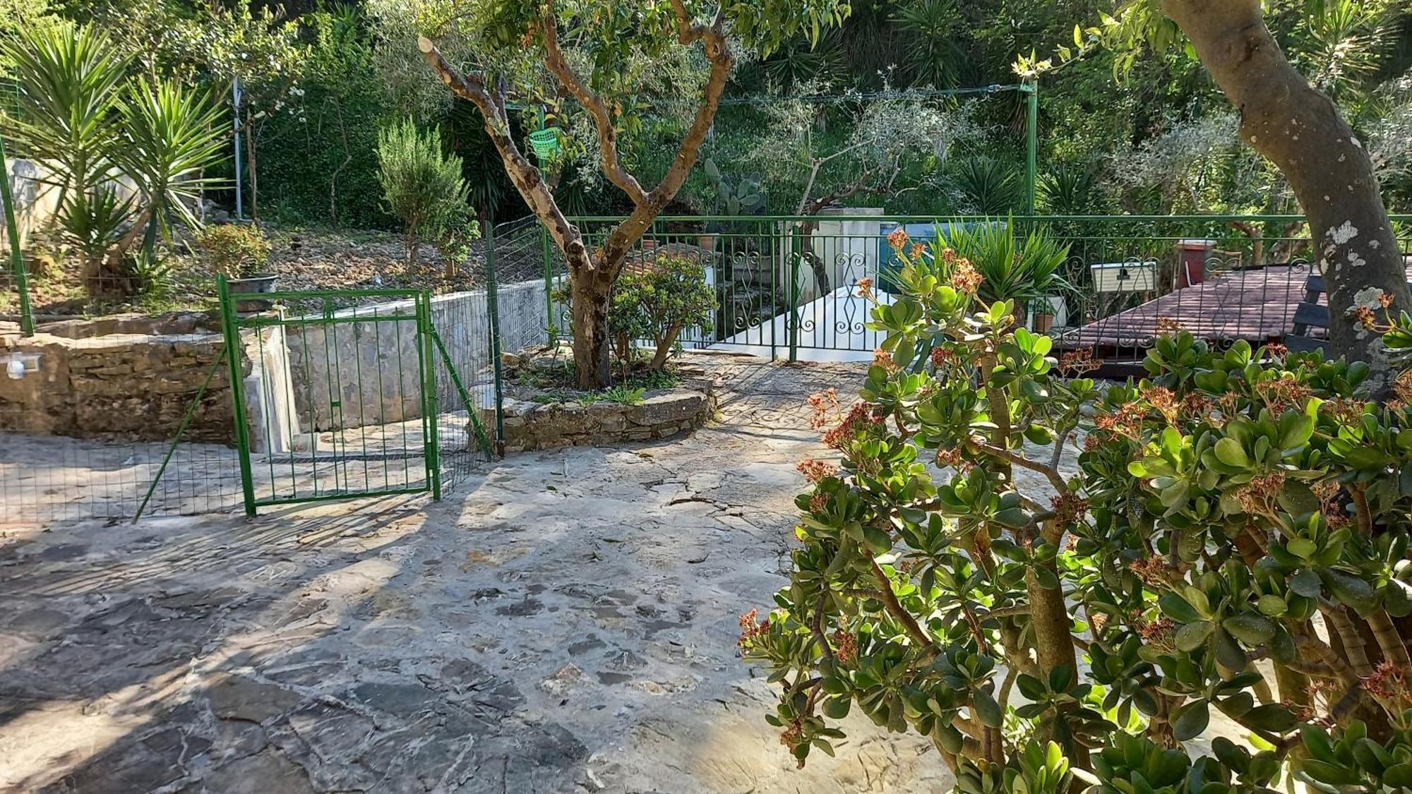Casa Vacanze Alfano Ascea Quarto foto