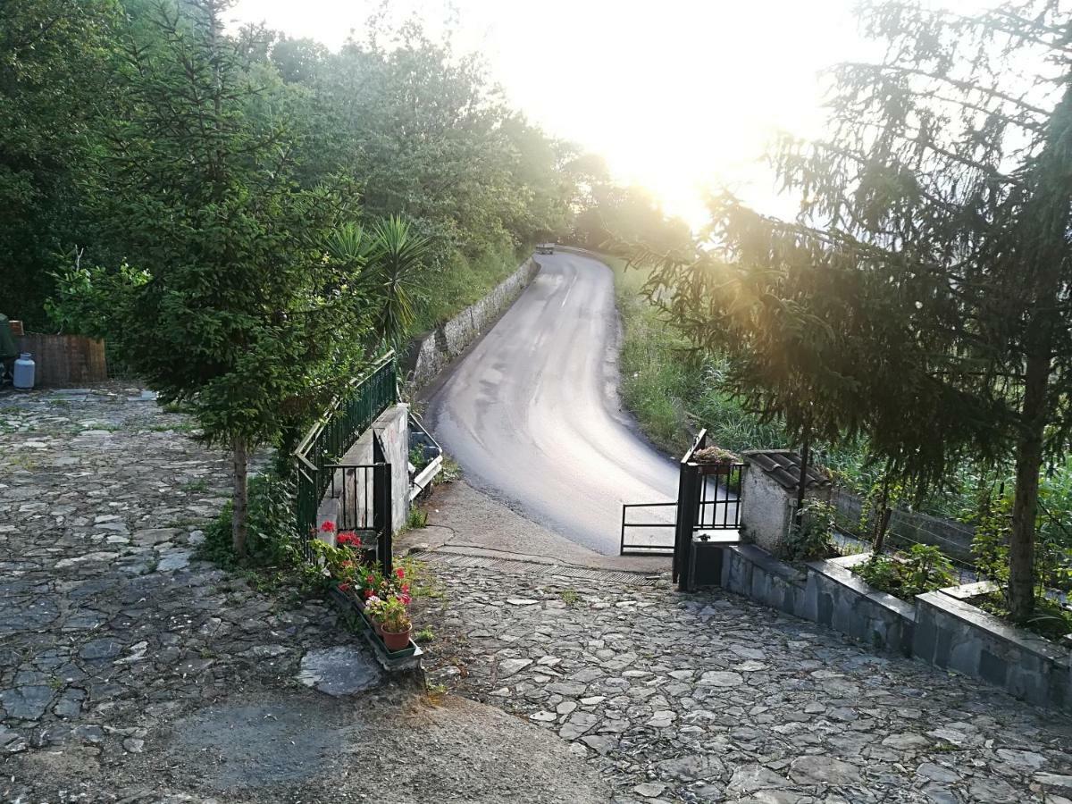 Casa Vacanze Alfano Ascea Exterior foto
